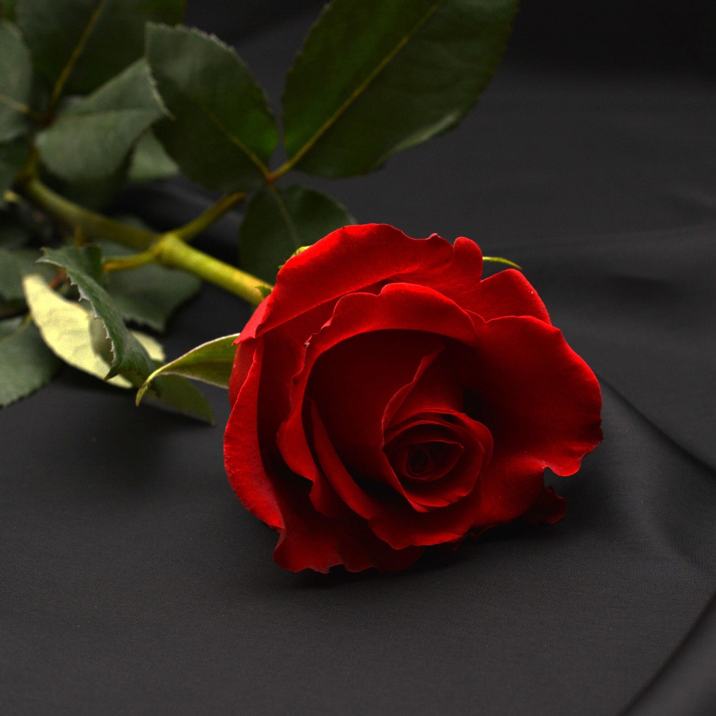 Rituel de magie rouge pour retour affectif rapide