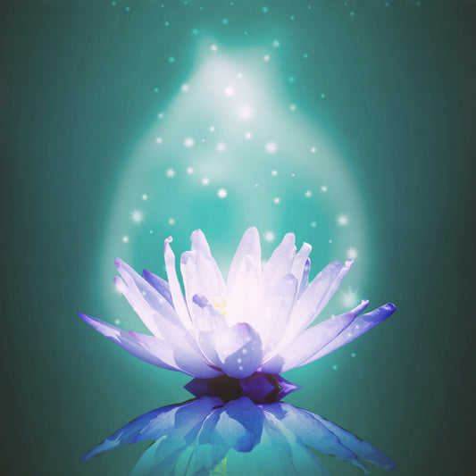 Rituel ésotérique de connexion au lotus sacré pour communiquer avec les esprits de lumière et les êtres spirituels